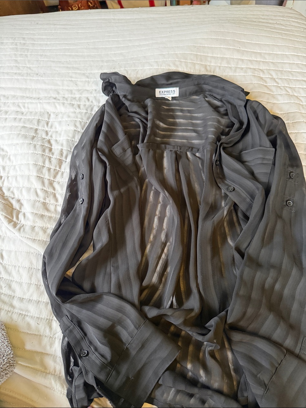 Express Sheer Black Striped Button-Down Blouse